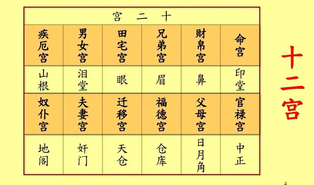 面相学讲座_面相学三停五官十二宫_面相学基础概念与实战技巧