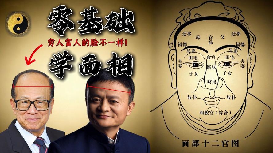 面相学正规学习途径_面相学培训_面相学三庭五岳分析框架