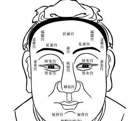 面相学正规学习途径_面相学三庭五岳分析框架_面相学培训