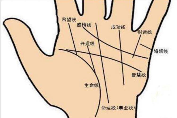 手相粗细深度解析：纹路粗细暗藏你的命运密码