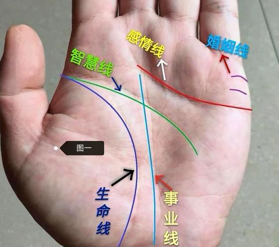 左手掌纹分析_男人左手相解读_男左手相