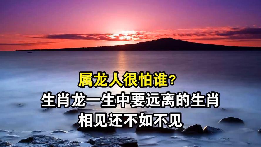 属龙人择偶与合伙指南：远离这四个生肖，避开人生大坑