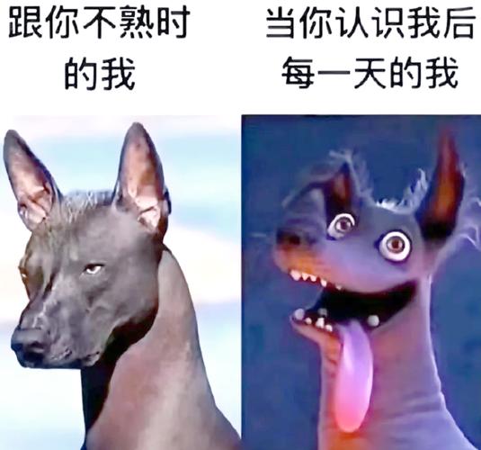 白羊座外表坚强内心柔软，真实情感大揭秘