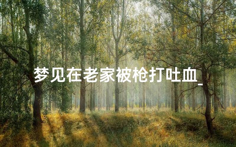 梦见打枪是吉是凶 这几类梦境预兆不同