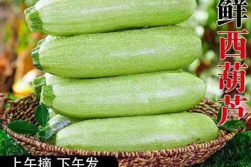 梦见摘青菜的运势解析_女人梦见摘青菜_女人梦见摘青菜是什么意思