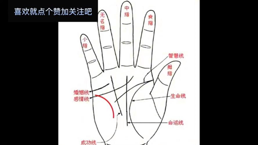 男性手相财运纹分析_男右手相_男性右手掌纹解读