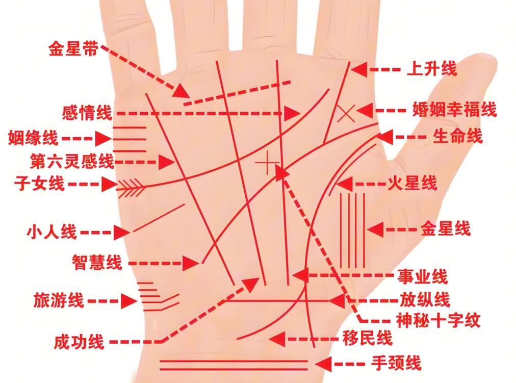 男右手相_男性右手掌纹解读_男性手相财运纹分析