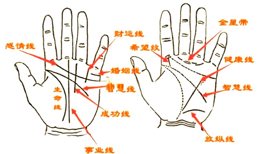 男右手相_男性手相财运纹分析_男性右手掌纹解读
