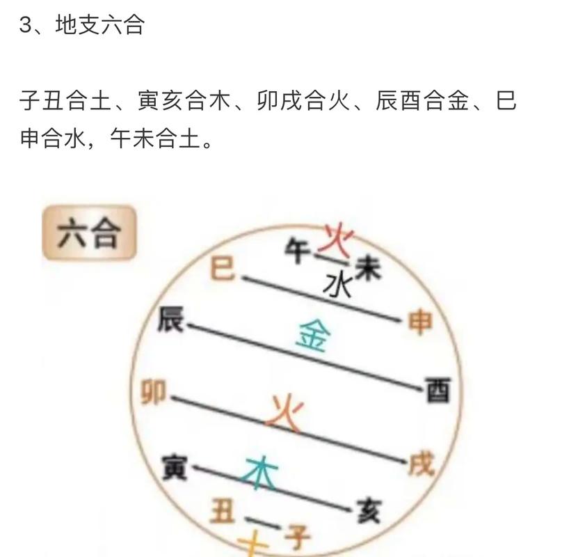 子丑合土寅亥合木秘密_详解地支六合所反应的象义_地支六合象义解析