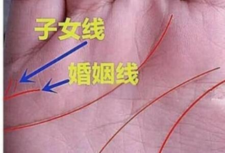 女性左手相学解读_生命线健康运势分析_女左手相