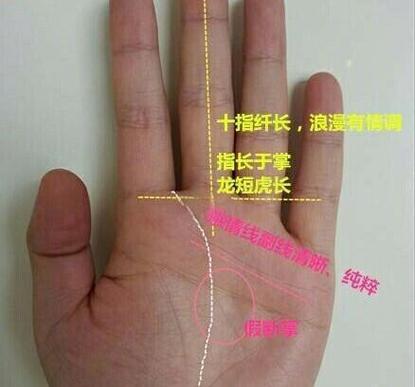 女性左手相学解读_女左手相_生命线健康运势分析