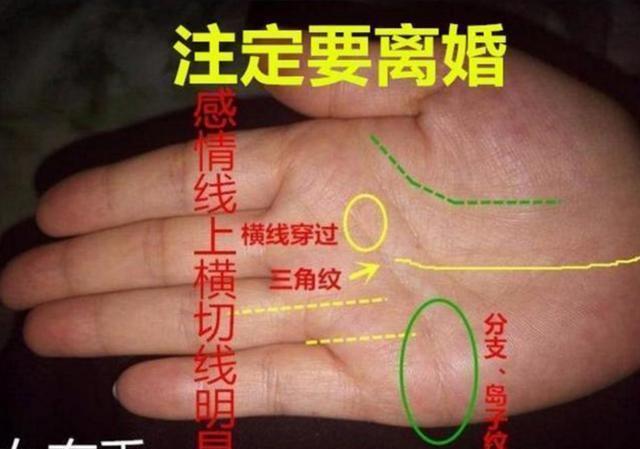 生命线健康运势分析_女左手相_女性左手相学解读