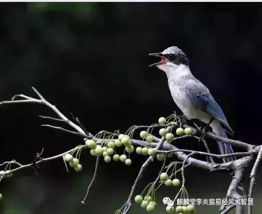 已婚女人梦见抓到活鱼预示什么_已婚女人梦见活鱼_已婚女人梦见抓到活鱼