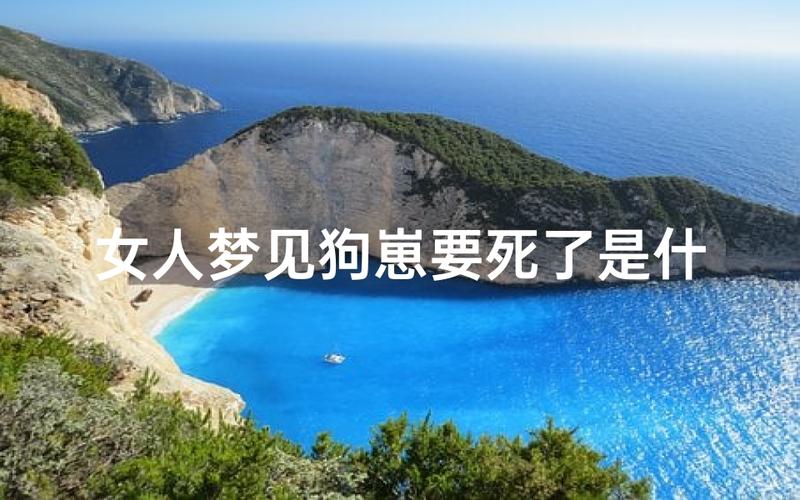 女人梦见狗死了 是吉是凶