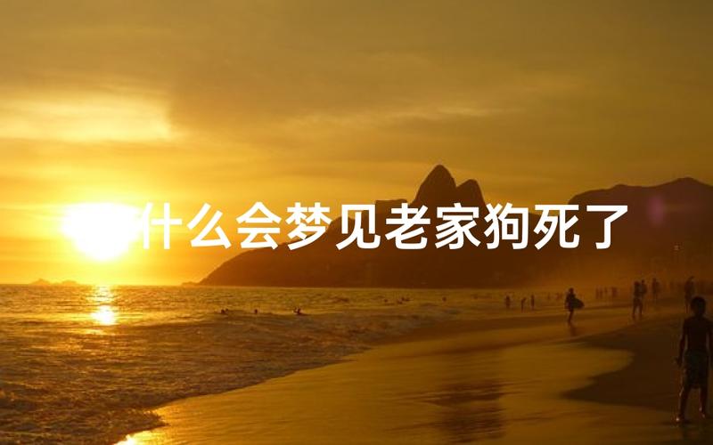 梦见狗死了的含义_女人梦见狗死了_女人梦到狗死了