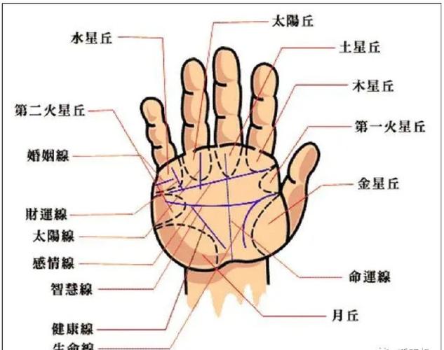 女人右手手相怎么看 手纹图解命运解析
