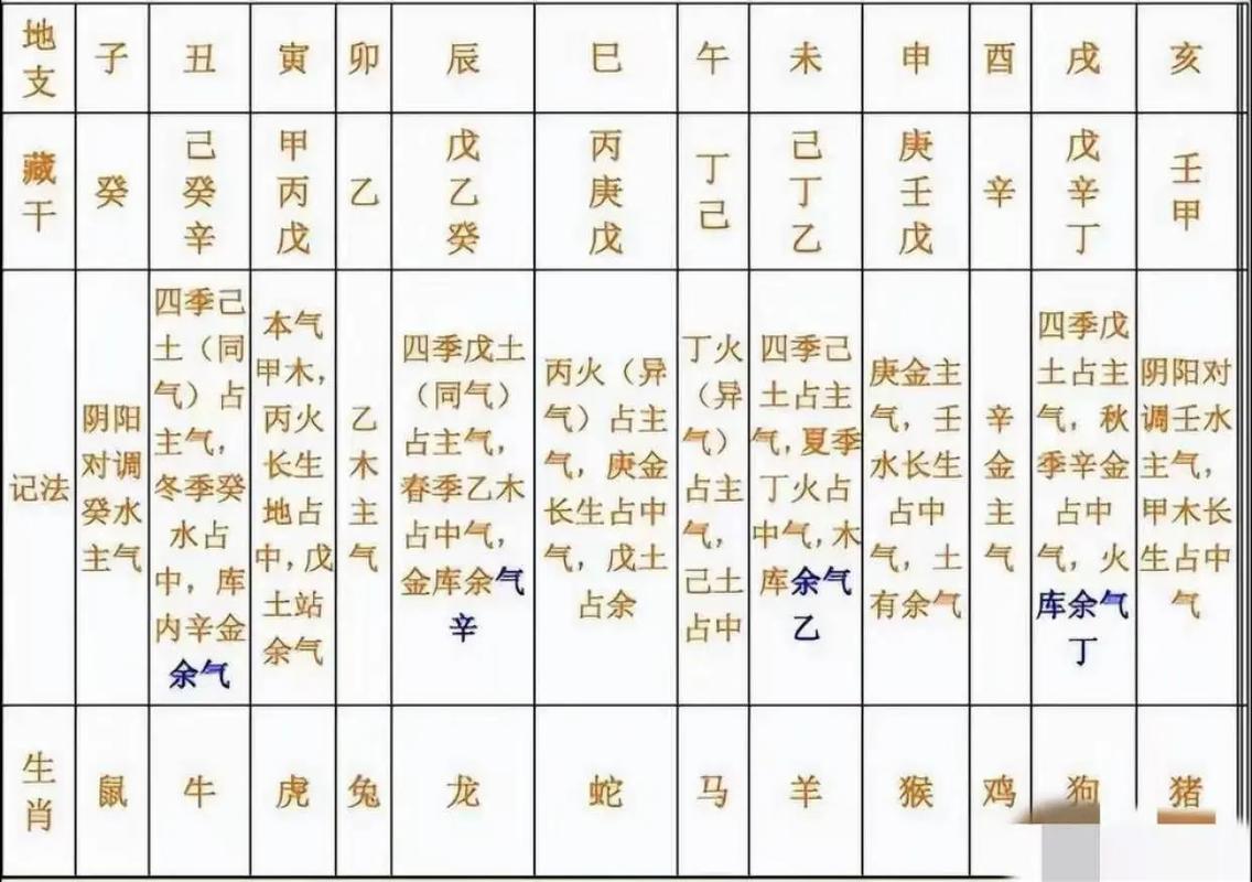 八字地支藏干对于命局的具体作用_藏干引动大运流年_八字藏干通根判断
