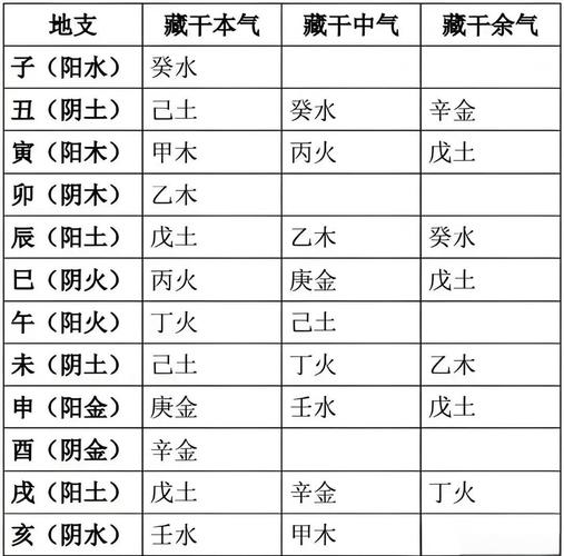 藏干引动大运流年_八字地支藏干对于命局的具体作用_八字藏干通根判断