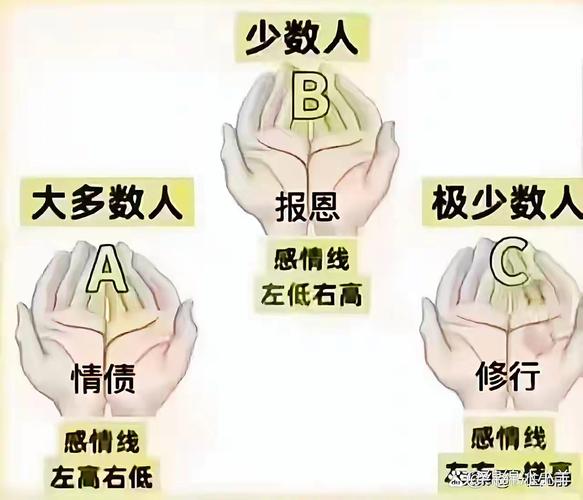生命线短浅智慧线分叉分析_手相实例_看手相掌纹解读