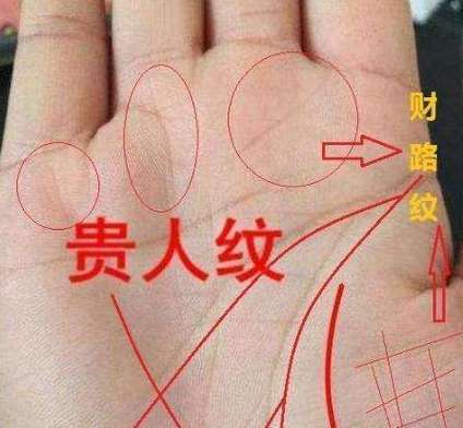 手相实例_看手相掌纹解读_生命线短浅智慧线分叉分析