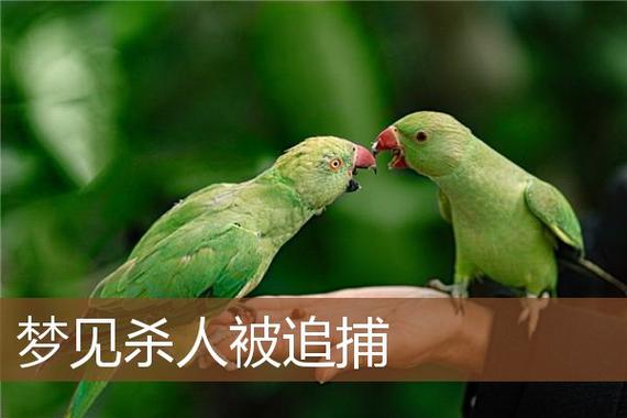 女人梦见逃跑成功代表什么_女人逃跑成功梦境解析_女人梦见逃跑成功