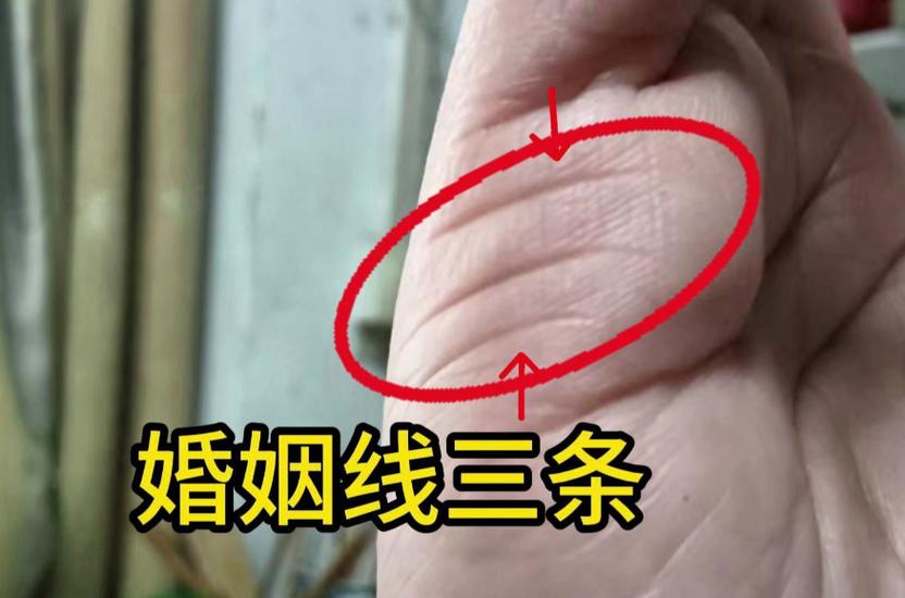 手相解读掌纹秘密_看懂手相生命线智慧线婚姻线_手相故事