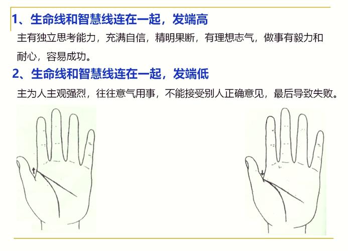 手相富贵密码解读_手相传说_手相生命线智慧线感情线