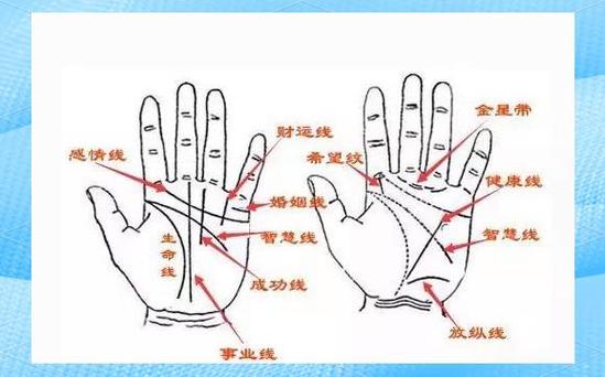 手相富贵密码解读_手相传说_手相生命线智慧线感情线