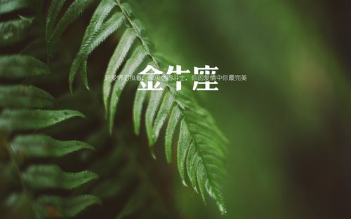 金牛男感情相处_金牛座大男子主义_金牛座大男子主义