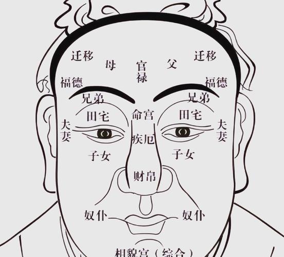面相学文化根基_面相学准确性_面相学科学依据