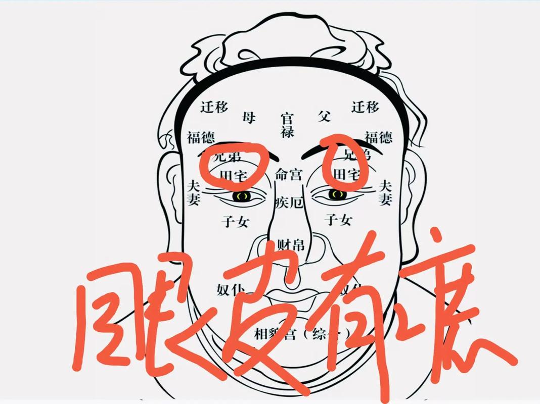 面相学传承_面相学 五官十二宫 历史传承