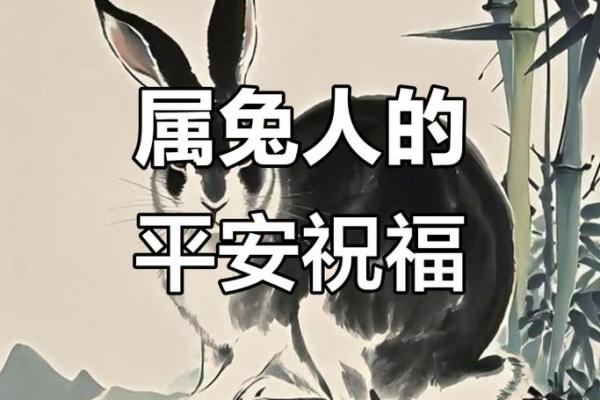 2026年属兔人的命中良缘是哪一位