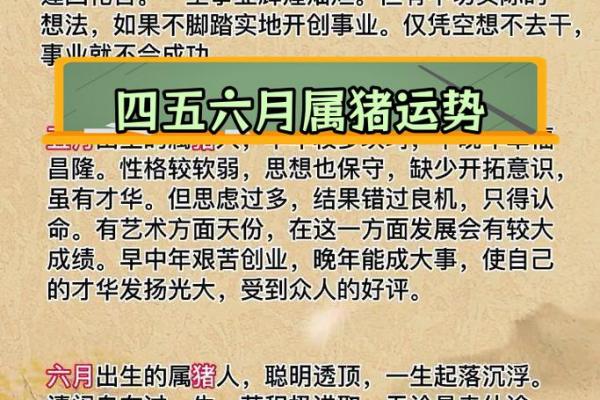几月出生的猪命最好、最苦