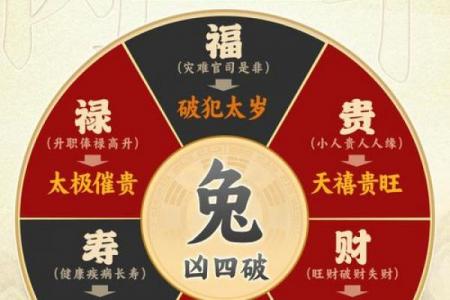 二月兔男富贵还是贫穷