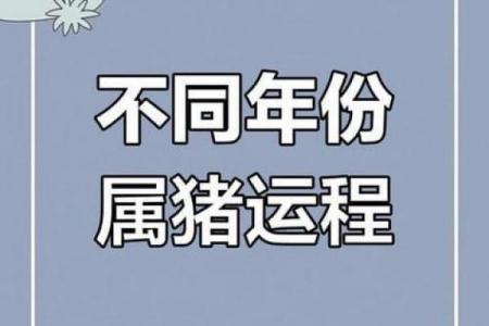 属猪者2026年创业运势分析及马年事业发展展望