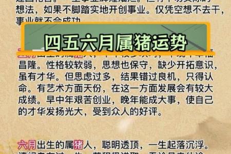 几月出生的猪命最好、最苦