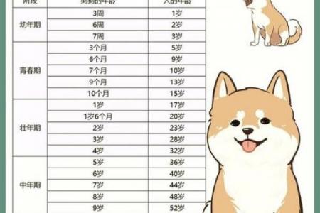 2026年属狗者的桃花劫对象