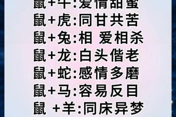属鼠女性送亲最佳选择