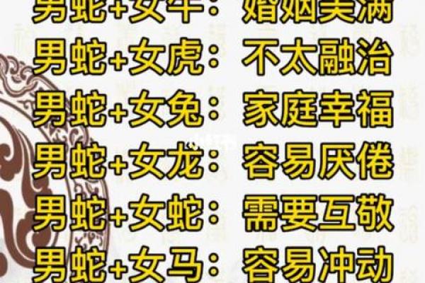 土蛇与水猪婚配如何