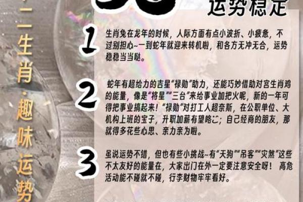 生肖兔人群最适宜从事哪些副业，属兔者理想副业推荐
