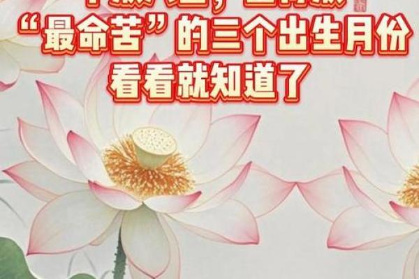 火猴命属苦命还是福命
