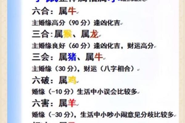 虎与何属相难相合