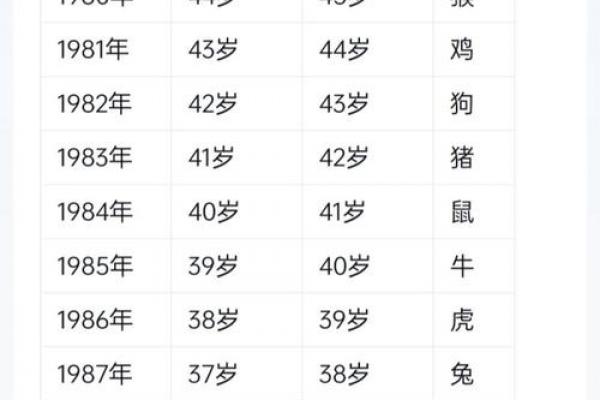 属龙人一生财运解析