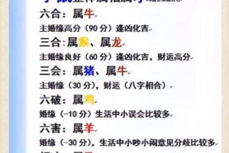 虎与何属相难相合