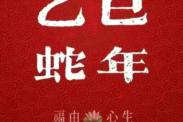 属蛇者2026旧情复燃
