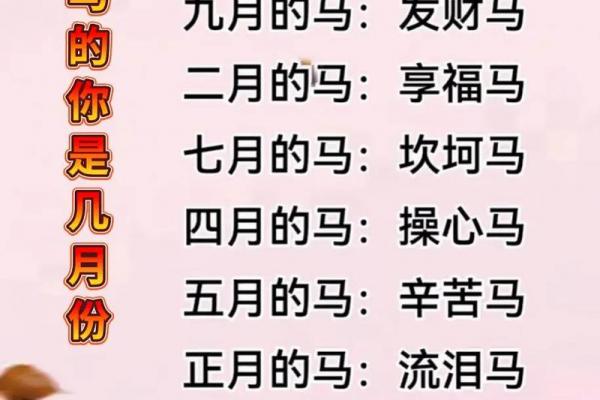 2026年哪个月出生的马最有福气