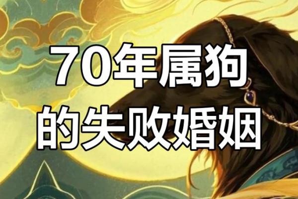 属狗者晚婚是福是祸