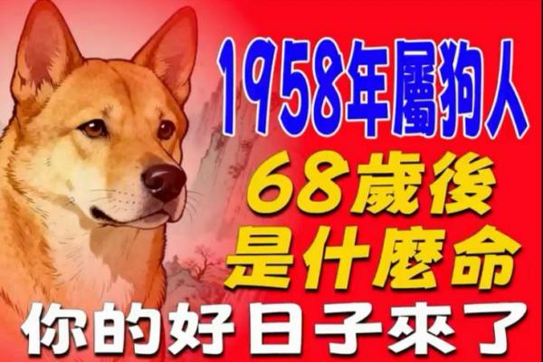 属狗者晚婚是福是祸