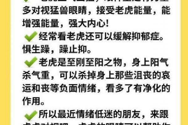 2026年属虎者生日注意事项