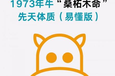 木牛之命五行缺什么